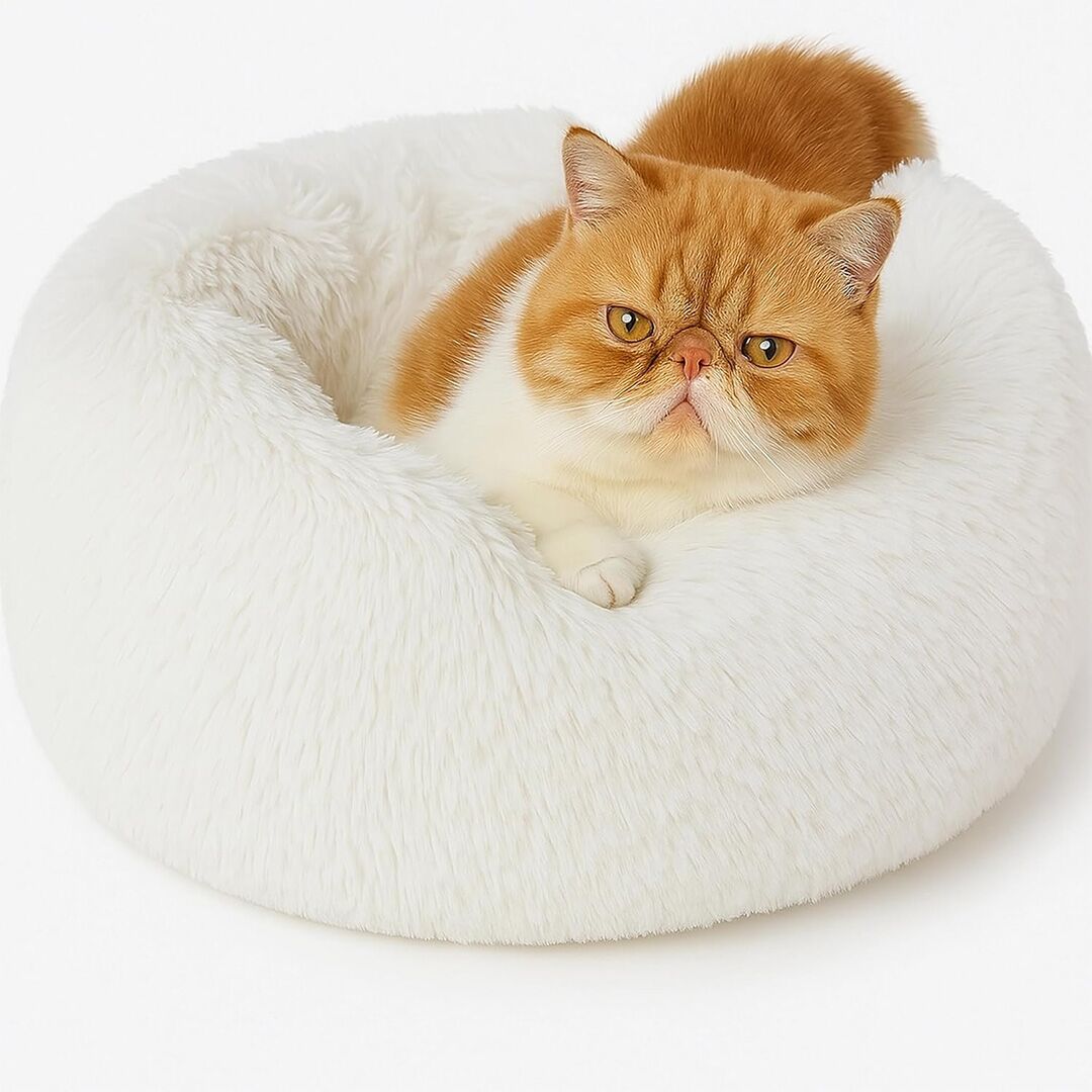 calming cat bed