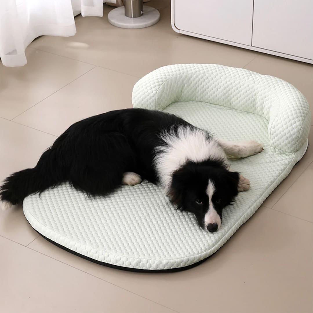 cooling dog bed 2 1 cooling dog bed 2 1