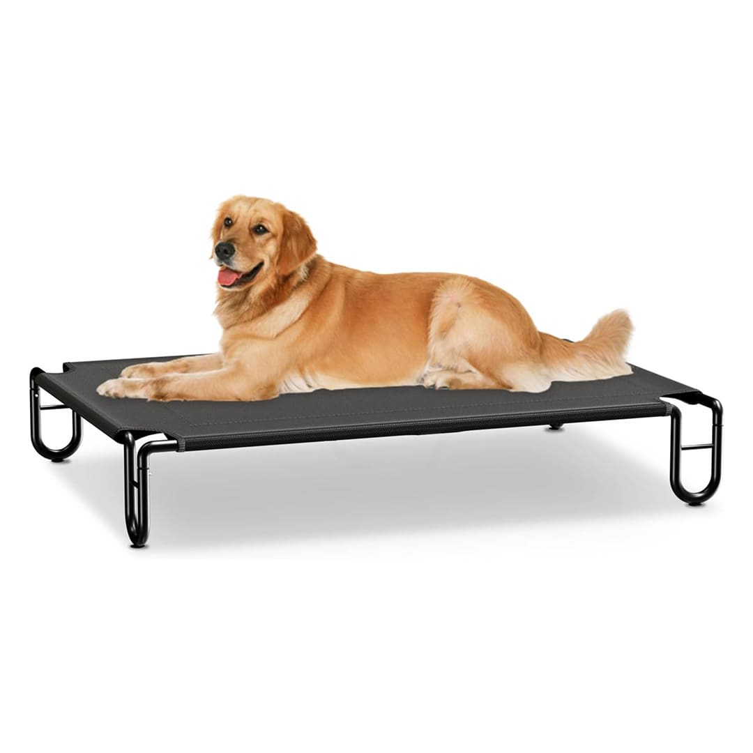 elevated cooling dog bed
