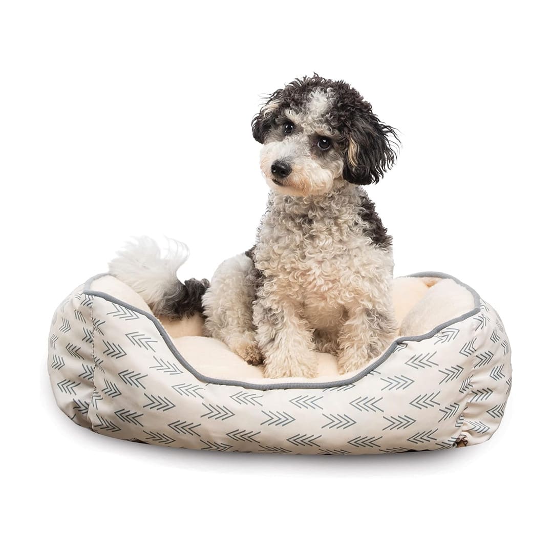 luxury raised dog bed
