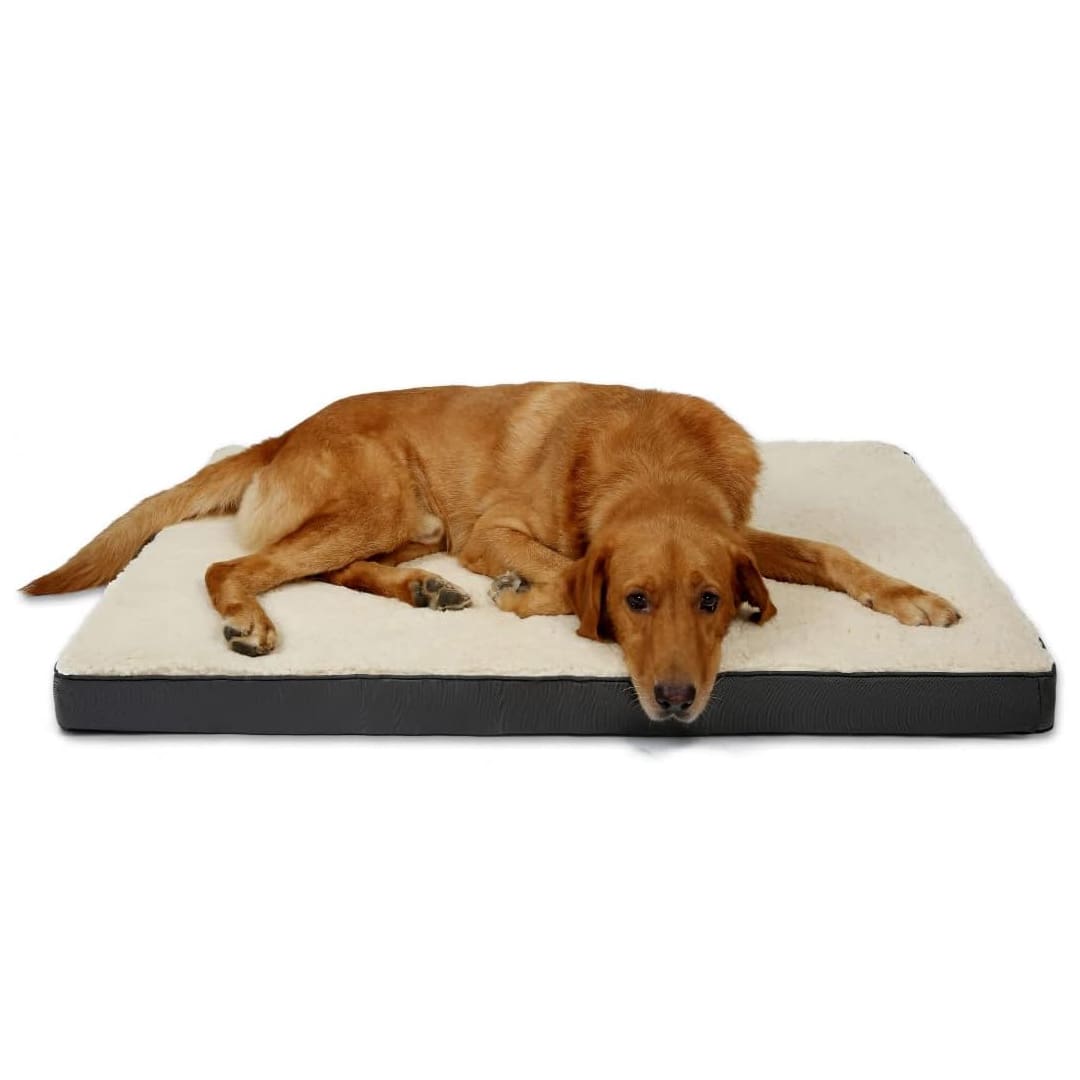 memory foam dog bed 1