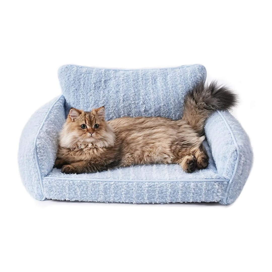 orthopedic cat sofa