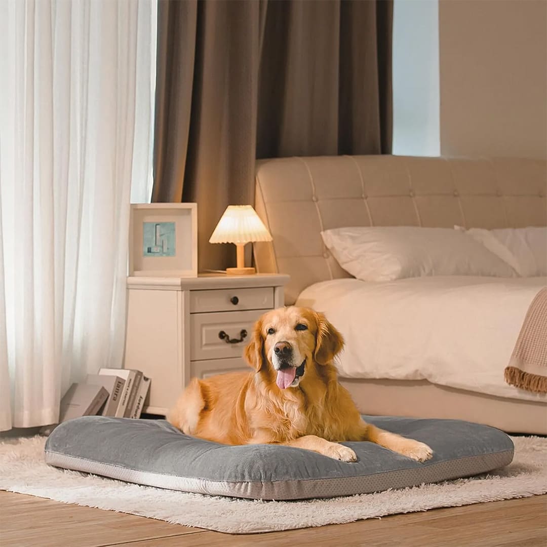 orthopedic dog mattress 4