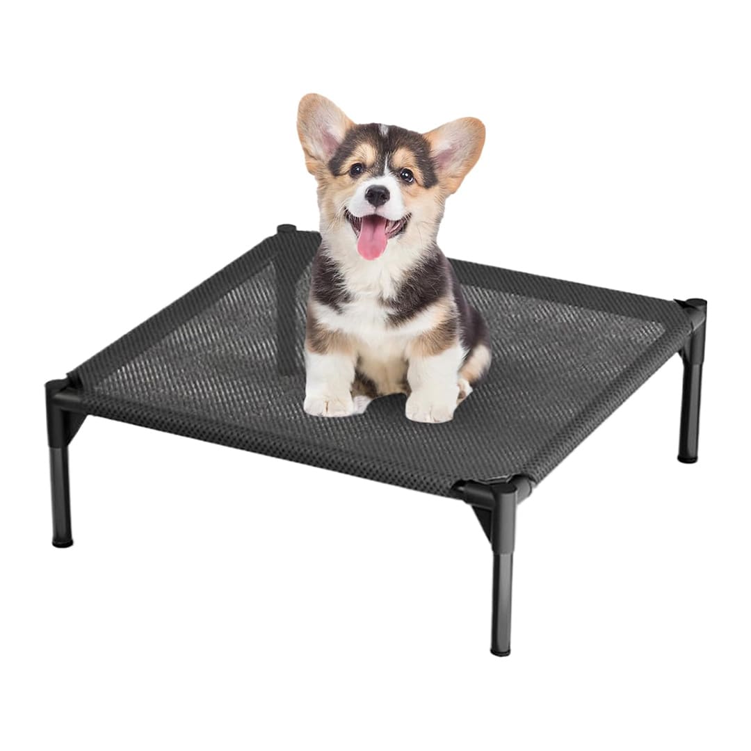 outdoor cooling dog bed