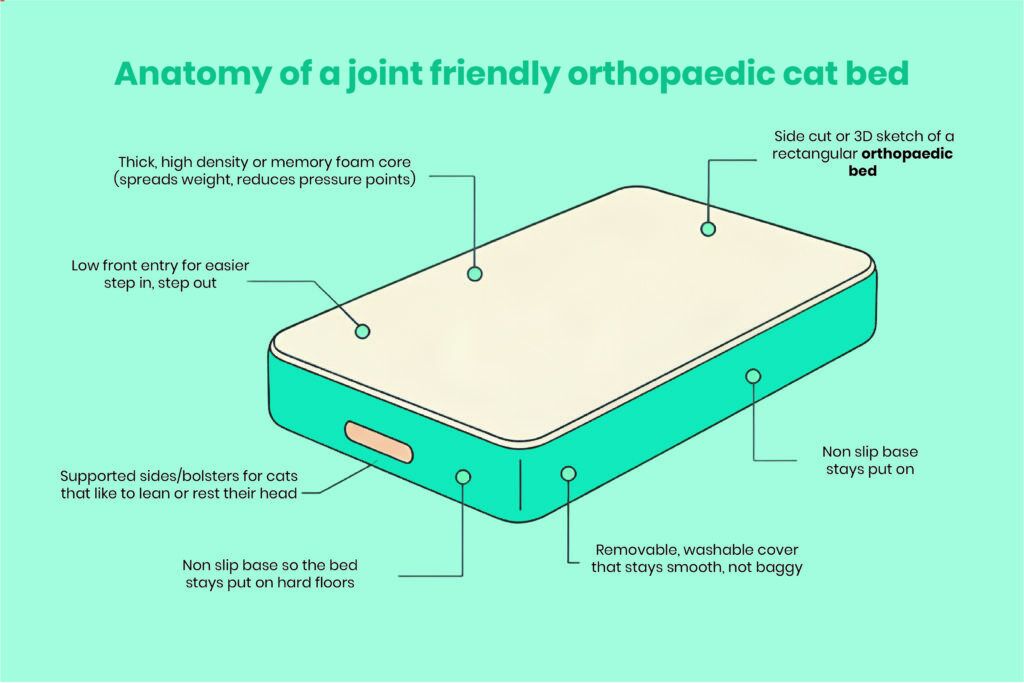 02 orthopedic cat bed o2.jpg
